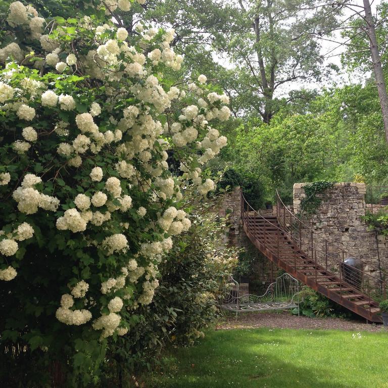 La Forge Bed & Breakfast Rustrel Dış mekan fotoğraf